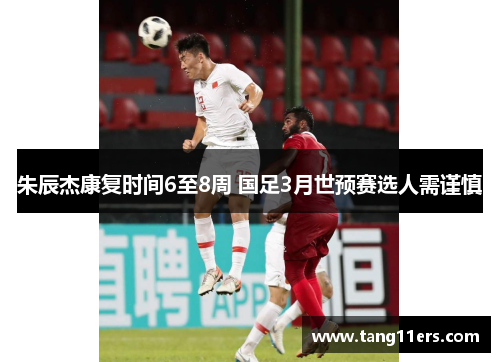 朱辰杰康复时间6至8周 国足3月世预赛选人需谨慎 朱辰杰康复时间6至8周 国足3月世预赛选人需谨慎
